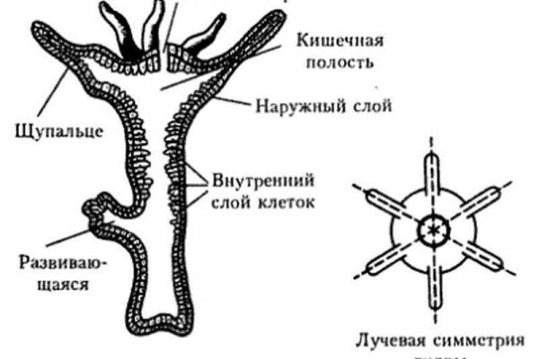 Кракен это даркнет