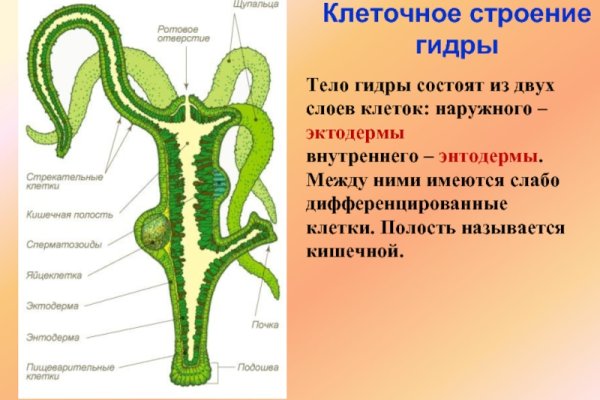 Kraken official