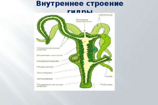 Как найти ссылку на кракен