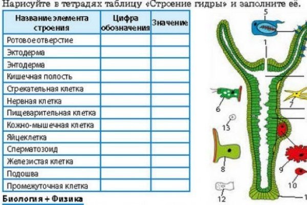 Кракен официальный сайт ссылка